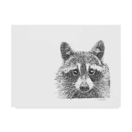 Let Your Art Soar 'Raccoon Line Art' Canvas Art,24x32